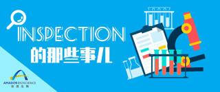 安渡小讲堂 | Inspection的那些事儿